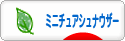 にほんブログ村 犬ブログ ミニチュアシュナウザーへ