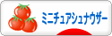 にほんブログ村 犬ブログ ミニチュアシュナウザーへ