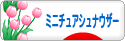 にほんブログ村 犬ブログ ミニチュアシュナウザーへ