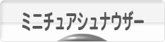 にほんブログ村 犬ブログ ミニチュアシュナウザーへ