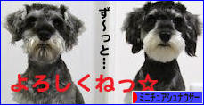 にほんブログ村 犬ブログ ミニチュアシュナウザーへ