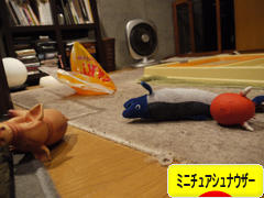 にほんブログ村 犬ブログ ミニチュアシュナウザーへ