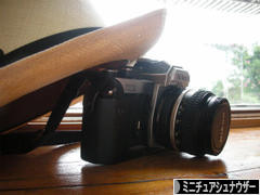 にほんブログ村 犬ブログ ミニチュアシュナウザーへ