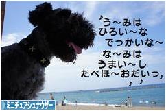 にほんブログ村 犬ブログ ミニチュアシュナウザーへ