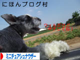 にほんブログ村 犬ブログ ミニチュアシュナウザーへ