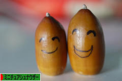 にほんブログ村 犬ブログ ミニチュアシュナウザーへ