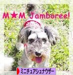 にほんブログ村 犬ブログ ミニチュアシュナウザーへ