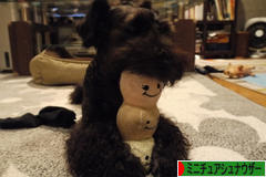 にほんブログ村 犬ブログ ミニチュアシュナウザーへ