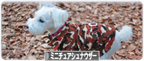 にほんブログ村 犬ブログ ミニチュアシュナウザーへ