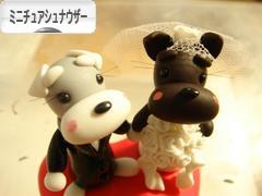 にほんブログ村 犬ブログ ミニチュアシュナウザーへ