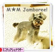 にほんブログ村 犬ブログ ミニチュアシュナウザーへ