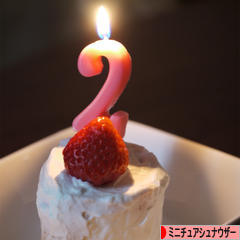 にほんブログ村 犬ブログ ミニチュアシュナウザーへ