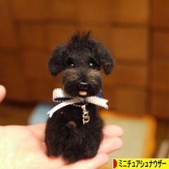 にほんブログ村 犬ブログ ミニチュアシュナウザーへ