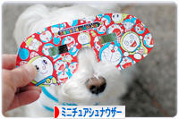 にほんブログ村 犬ブログ ミニチュアシュナウザーへ