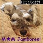 にほんブログ村 犬ブログ ミニチュアシュナウザーへ