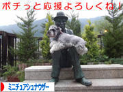 にほんブログ村 犬ブログ ミニチュアシュナウザーへ