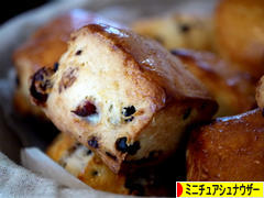 にほんブログ村 犬ブログ ミニチュアシュナウザーへ