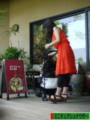 にほんブログ村 犬ブログ ミニチュアシュナウザーへ