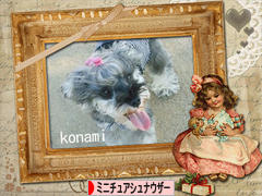 にほんブログ村 犬ブログ ミニチュアシュナウザーへ