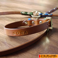 にほんブログ村 犬ブログ ミニチュアシュナウザーへ