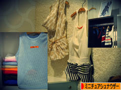 にほんブログ村 犬ブログ ミニチュアシュナウザーへ