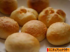 にほんブログ村 犬ブログ ミニチュアシュナウザーへ