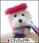 にほんブログ村 犬ブログ ミニチュアシュナウザーへ