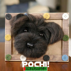 にほんブログ村 犬ブログ ミニチュアシュナウザーへ