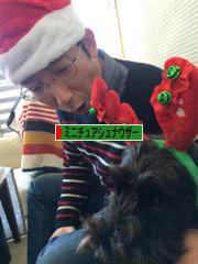 にほんブログ村 犬ブログ ミニチュアシュナウザーへ