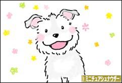 にほんブログ村 犬ブログ ミニチュアシュナウザーへ