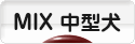 にほんブログ村 犬ブログ MIX中型犬へ