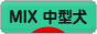 にほんブログ村 犬ブログ MIX中型犬へ
