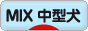 にほんブログ村 犬ブログ MIX中型犬へ