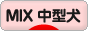 にほんブログ村 犬ブログ MIX中型犬へ