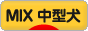 にほんブログ村 犬ブログ MIX中型犬へ