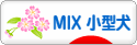 にほんブログ村 犬ブログ MIX小型犬へ