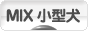 にほんブログ村 犬ブログ MIX小型犬へ