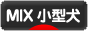 にほんブログ村 犬ブログ MIX小型犬へ