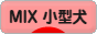 にほんブログ村 犬ブログ MIX小型犬へ