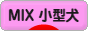 にほんブログ村 犬ブログ MIX小型犬へ