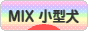 にほんブログ村 犬ブログ MIX小型犬へ