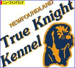 にほんブログ村 犬ブログ ニューファンドランドへ