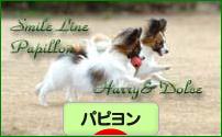 にほんブログ村 犬ブログ パピヨンへ