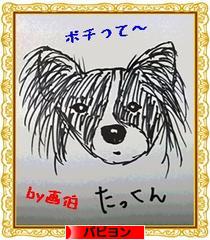 にほんブログ村 犬ブログ パピヨンへ