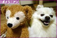 にほんブログ村 犬ブログ ポメラニアンへ