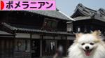 にほんブログ村 犬ブログ ポメラニアンへ