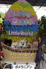 にほんブログ村 犬ブログ ポメラニアンへ