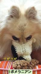 にほんブログ村 犬ブログ ポメラニアンへ