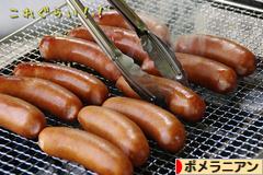 にほんブログ村 犬ブログ ポメラニアンへ