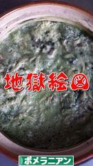 にほんブログ村 犬ブログ ポメラニアンへ